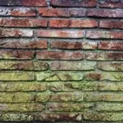 szivárgó cső nyomán penész a falon